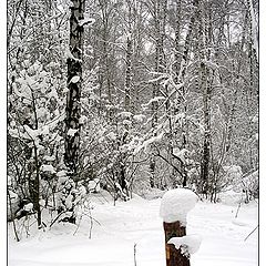 photo "The wood guard"