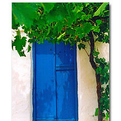 photo "Door and vine tree"