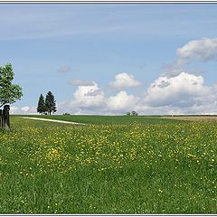 фото "White Clouds Of Spring"