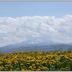 фото "Fields And Mountains"