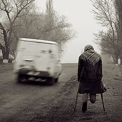 photo "Life of rural roads (2)"