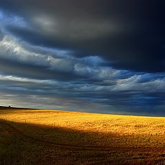 фото "Approaching Storm"