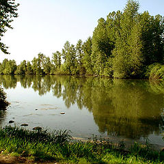 фото ""Near the pond""