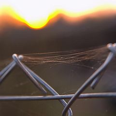 photo "Trap for the sun"