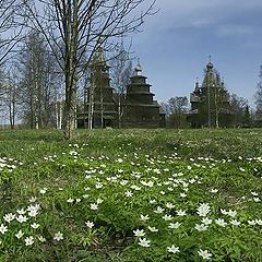 фото "Весенние Витославлицы 3."