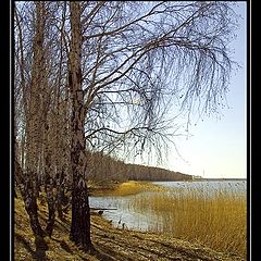 фото "Весенний этюд"