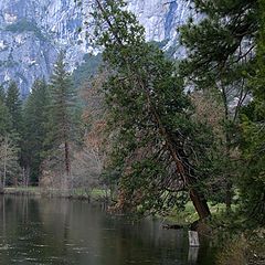 фото "Yosemite, The Merced River"