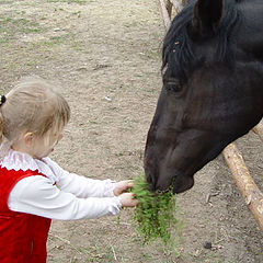 photo "девочка и лошадка:)"