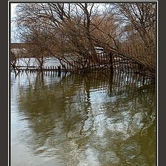 photo "The Watercolors. The Springtime."