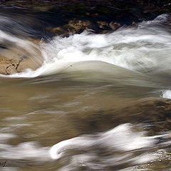 фото "Water Flow"