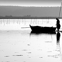 photo "Silhouette"