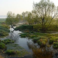 фото "С первыми лучами..."