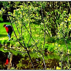 photo "Colors of may"