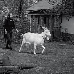 photo "About grandmother Dunja and a goat"