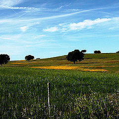 фото "rustic view"