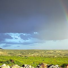 photo "Trough prism of raindrops... (1)"