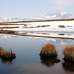 photo "Spring lake in Dovre, Norway."