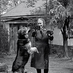 photo "About Grandmother Dunja, puppies and a dog Rita."