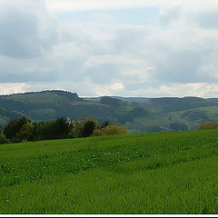 фото "Fr&#252;hling"