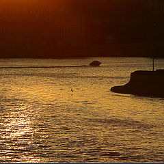 photo "The coffee rivers, chocolate coasts"