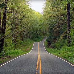 photo "Down the Road - Part II"