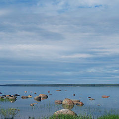 фото "K&#228;smu"