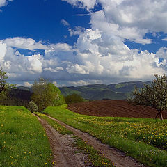 photo "Spring landscape"