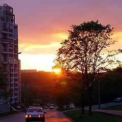 фото "Последний луч"