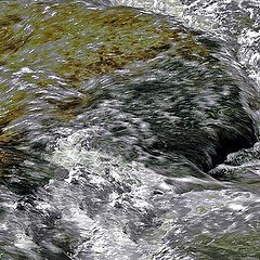 фото "Water Flow 2"