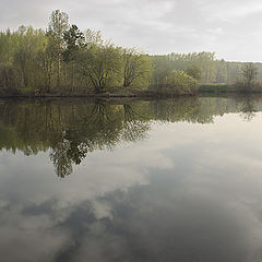 фото "Утро"