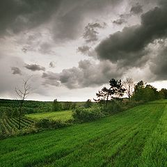 фото "after storm"