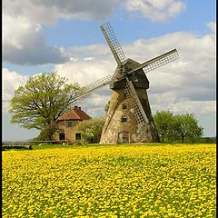 photo "a mill"