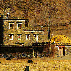 photo "Farmhouse"