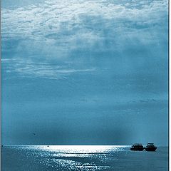 photo "- silence -"