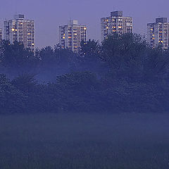 photo "Fog in suburb"