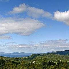 photo "Forest and ocean"