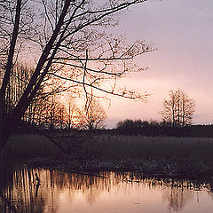 photo "Sunrise on  swamp"