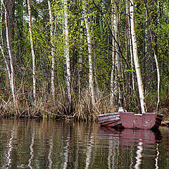 photo "Coast of lake..."