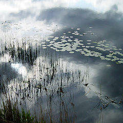 фото "dreams"