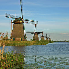 photo "Little Holland"