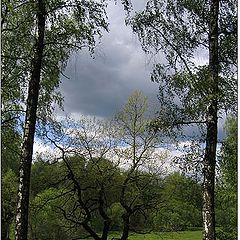 фото "Симметрия непогоды"