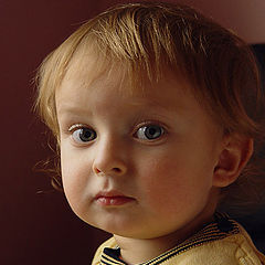 photo "Portrait in the cabinet"