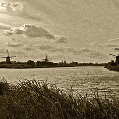 photo "Little Holland - 2"