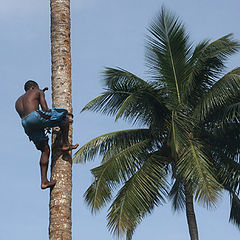 photo "acrobat"