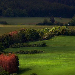 фото "**Вечер**"