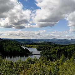 photo "Norwegian forest"