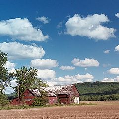 photo "Country Landscape"