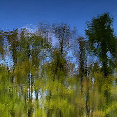 photo "Reflection #1"