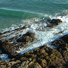 photo "ocean breath"