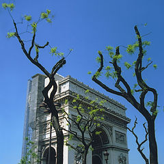 photo "Triumphal arch"